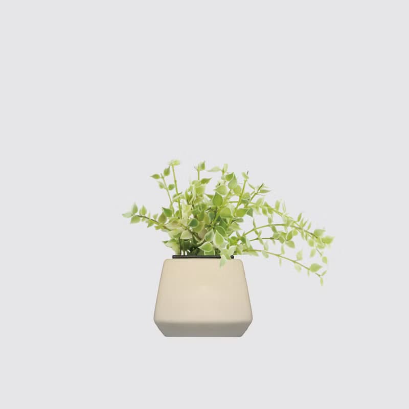 │ 方盆系列 │ 百萬心 - 垂掛植物 水耕盆栽 陶瓷盆器