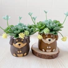 【仿真黏土多肉植物組盆】淺深咖臘腸犬