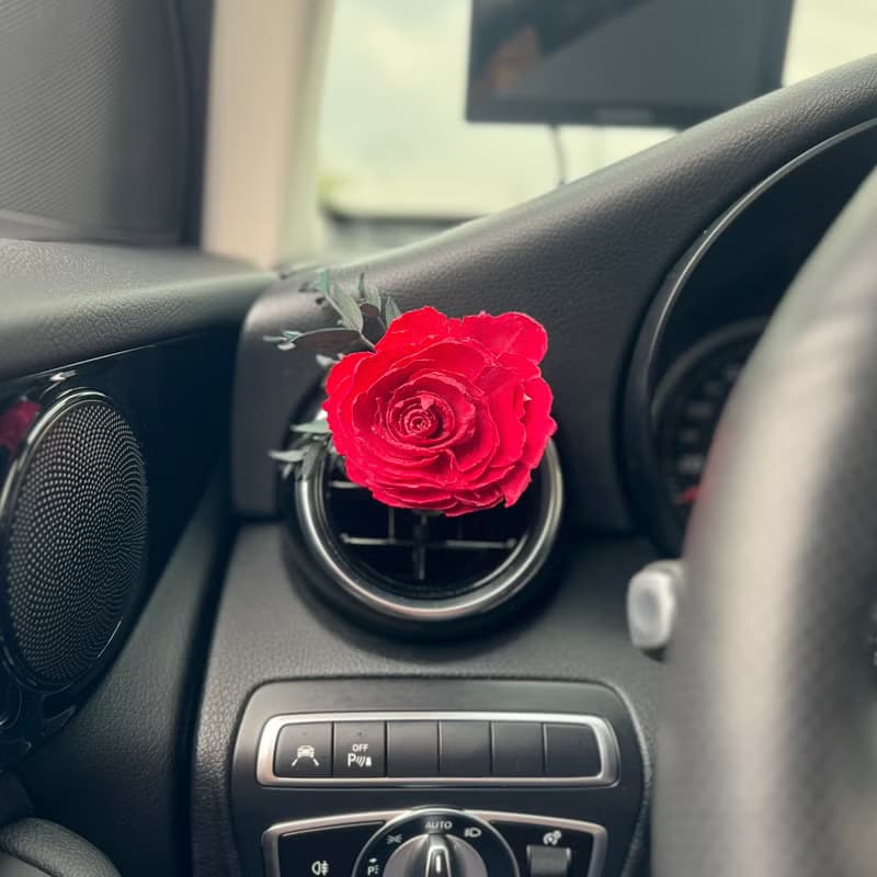 車載出風口 創意永生花乾燥花擴香花束 車用擴香