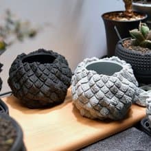 CBP012植木鉢 原創設計/3D列印/多肉塊根植物/盆器盆栽/送禮