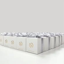 微磁導入儀 (團購100入)