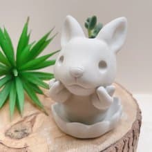 【快速出貨】啾咪兔兔 植物小盆 水泥盆器 交換禮物
