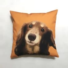 汪喵大抱枕 - 巧克力奶油臘腸 | 威威