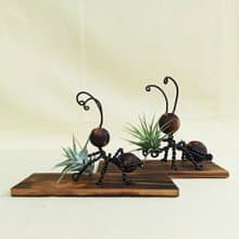 【螞蟻搬空鳳】鋁線編織植物擺飾