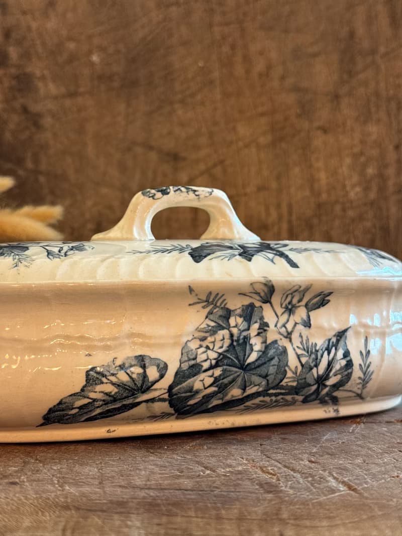 40223-迷人法國古董牙刷瓷盒