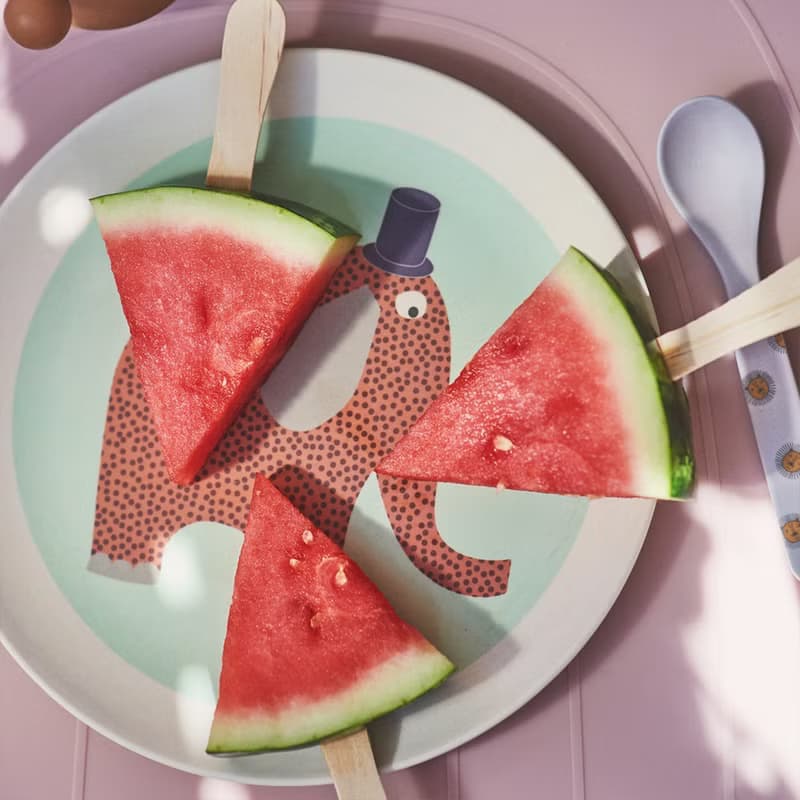 竹纖維餐具組 / 獅子王