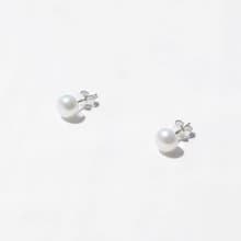 Perla Earring  經典珍珠耳飾