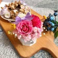 康乃馨擴香小盆栽 母親節禮物 永生花