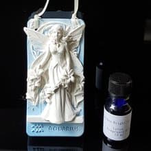 禮品套組  水瓶座花仙子擴香石搭配10ML精油/香精