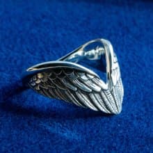 Wing / DR-25