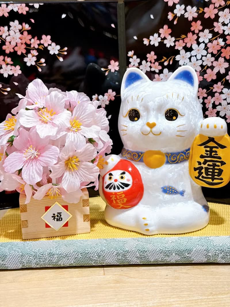 【白晶金運】日本清水燒招財貓 | 達摩花結晶 - 白金運