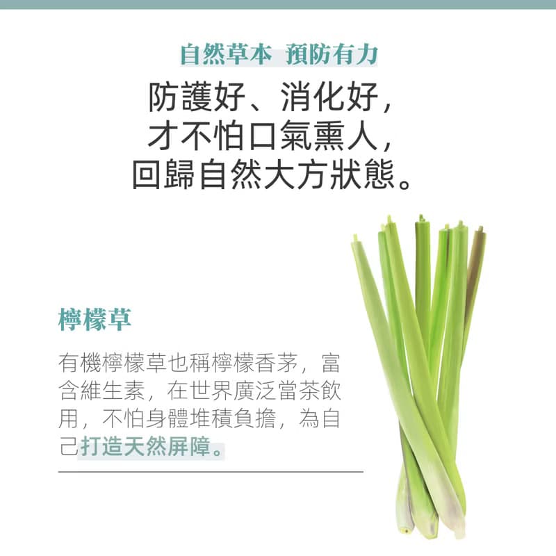 薄荷檸檬草清新茶 1.5g x 15茶包/盒