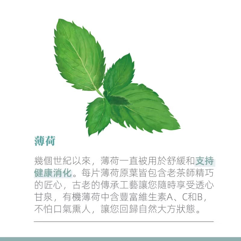 薄荷檸檬草清新茶 1.5g x 15茶包/盒