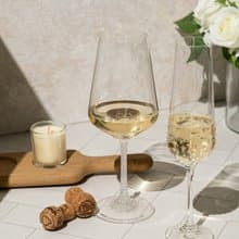 【GRANDI】奧地利 豪華仙女座 紅酒杯 施華洛世奇水鑽酒杯 玻璃杯