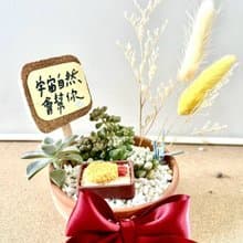台中 限量多肉組盆 多肉植物 日式枯山水 微景觀 炸蝦飯 慶祝開幕
