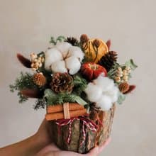 - 自然果韻乾燥木頭盆花 - 聖誕限定 乾燥花 盆花 開幕禮 新居禮