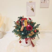 兩用永生雪松桌花擺飾。附燈。聖誕禮盒。新年禮盒