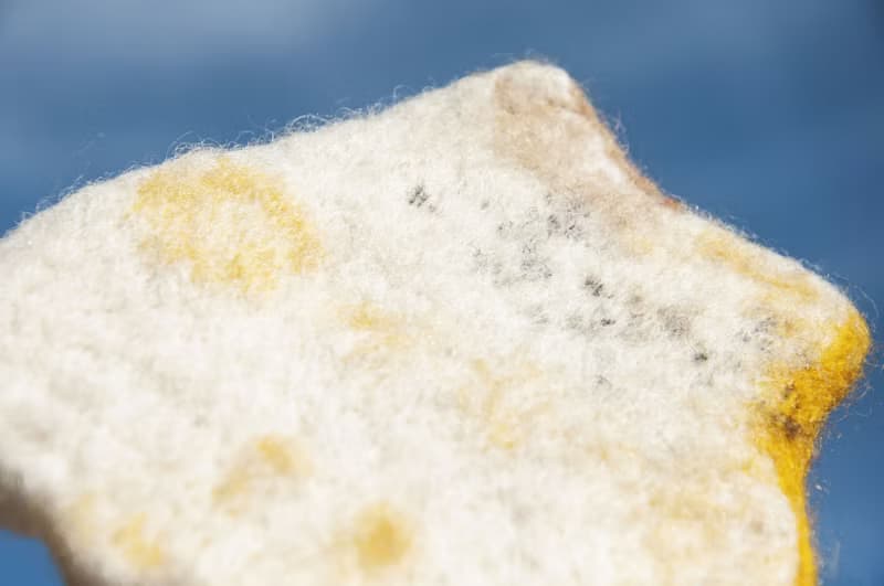 情人節禮物 聖誕交換禮物 森林系羊毛氈杯墊 動物杯墊-貓咪吸水墊