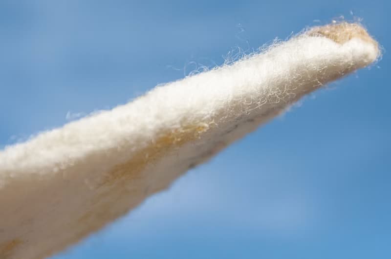 情人節禮物 聖誕交換禮物 森林系羊毛氈杯墊 動物杯墊-貓咪吸水墊