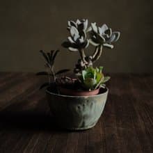 冬季的羊卓雍措・花盆