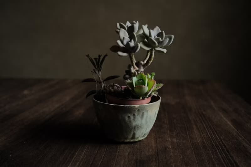 冬季的羊卓雍措・花盆