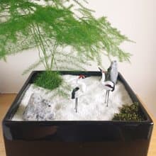 純自然 日式禪庭盆栽 禪 紅頂鶴 枯山水 植物  盆栽 zen