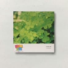 【Nakabayashi】NCL 手繪相本-綠花 L-DB211-LG(原廠正貨)