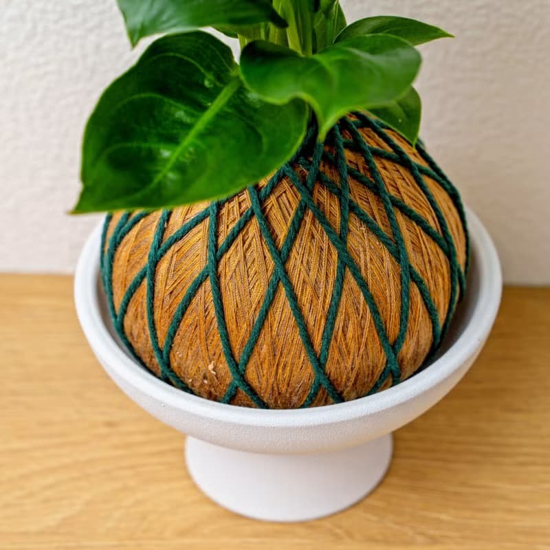 苔球植物 瑪莉安金綠苔球加磨砂高腳缽 苔球 苔玉 禮物 送禮