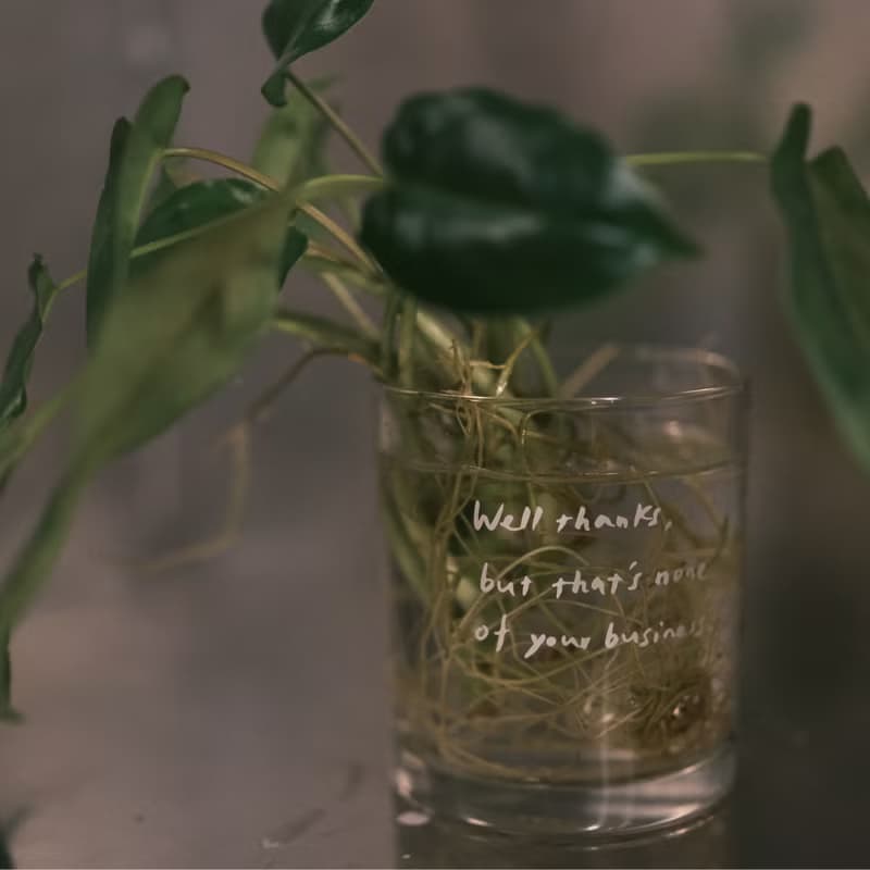 GIN DU LAN系列－不想被管 洋甘菊&檸檬薄荷 250ml香氛木片蠟燭