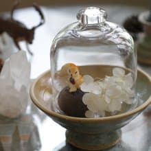 淺藍綠色手工陶瓷高腳燭台/點心台/飾品台/苔球座/苔球花器