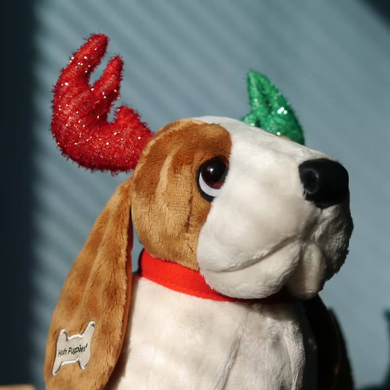 快速出貨 || Hush Puppies 10吋 節日限定麋鹿巴吉度/背影殺手