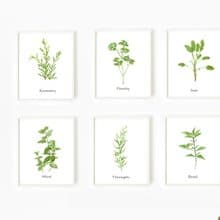 餐廳掛畫-北歐-香草-空間掛畫-居家情景掛畫-復制畫6件組-咖啡廳