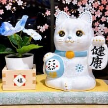 【健康招福】日本清水燒招財貓 | 達摩花結晶 - 藤健康