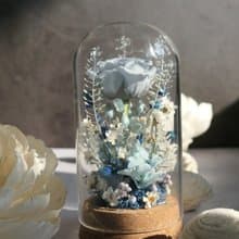 Rosemary小小花園玻璃罩  永生花/情人節/生日/畢業/禮物