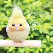 寵物訂製 羊毛氈 玄鳳 鸚鵡 虎皮 小太陽 有腳腳賣場