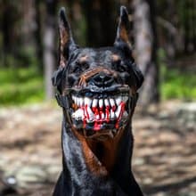 Werewolf Dog muzzle Scary Doberman muzzles Pet Gift Halloween Costume Dog Mask