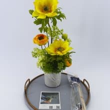 露營風日光綻放陸蓮香氛花禮/入厝禮/開幕/喬遷/送禮/植栽