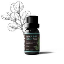 【卡佛香】澳洲史泰格尤加利精油