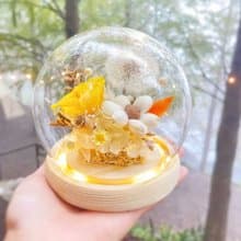 星願之光 永生花 蒲公英花燈 玻璃罩燈飾 畢業禮物 生日驚喜