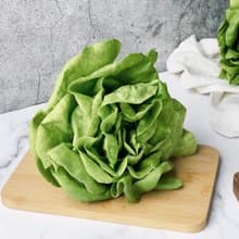 【綠十水耕生菜】綠奶油150g、生菜、沙拉、萵苣、水耕蔬菜