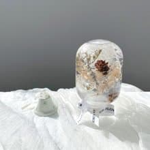 Flora Flower水晶球浮游花-聖誕金銀島