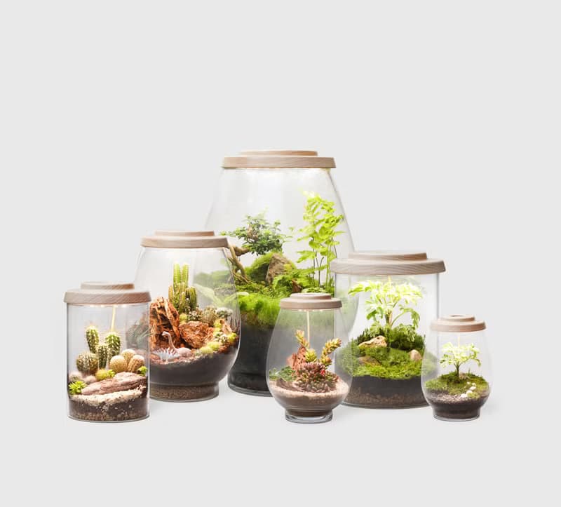 【全光譜 生態缸專用 植物燈】不含植物 圓盤植物燈 擬太陽光