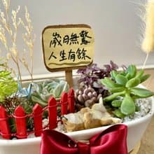 柴犬 日式山水 毛小孩送禮 多肉組盆 多肉植物 狗奴送禮 多肉盆栽