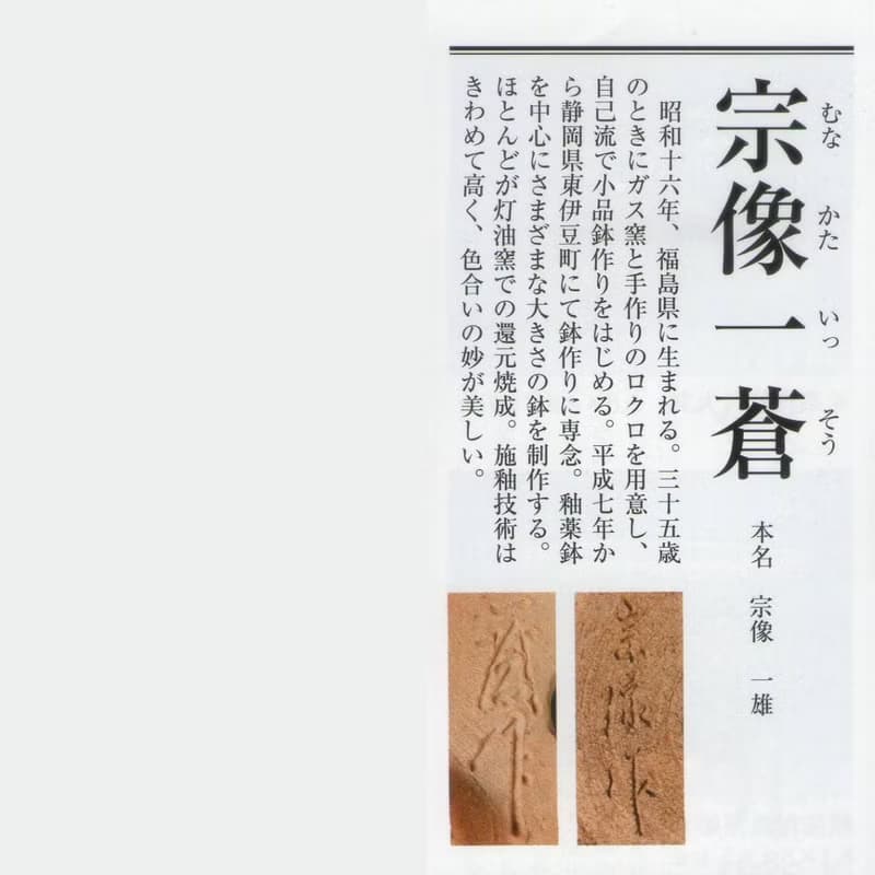 日本宗像一蒼鉢∣銀楓迷你盆栽 茶道風格