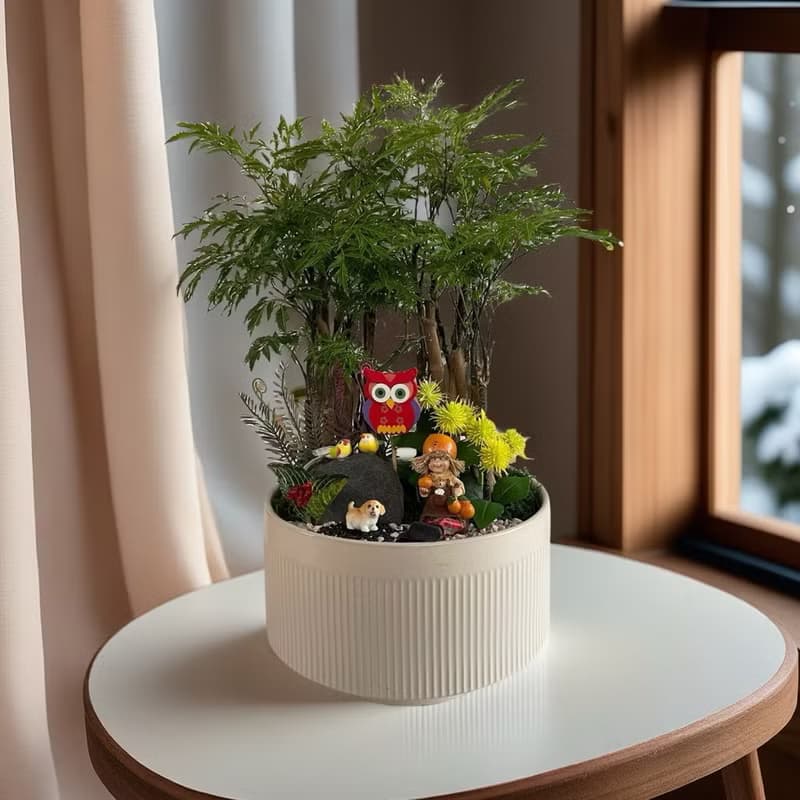 【公司送禮推薦】招財福祿桐組合盆栽 開幕新居喬遷送禮風水盆栽