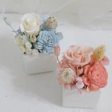 永生玫瑰盆花 開幕結婚捧花永生乾燥花情人節畢業謝師禮物生日畢