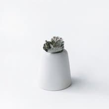 (現貨) 純灰系列 | 雀扇 巧克力脆片 小山丘造型水泥多肉植栽