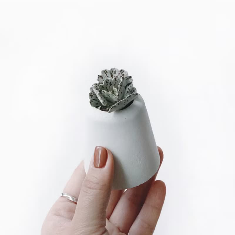 (現貨) 純灰系列 | 雀扇 巧克力脆片 小山丘造型水泥多肉植栽