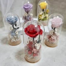 小王子永生花玻璃鐘罩 浪漫乾燥花擺飾設計