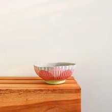 水泥花盆 / 紅花風鈴木